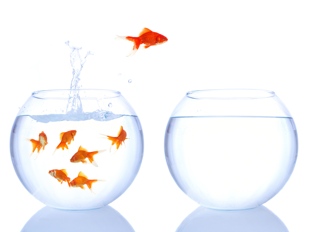 quotes on leap of faith